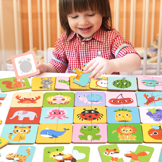 Wooden Shadow Matching Game