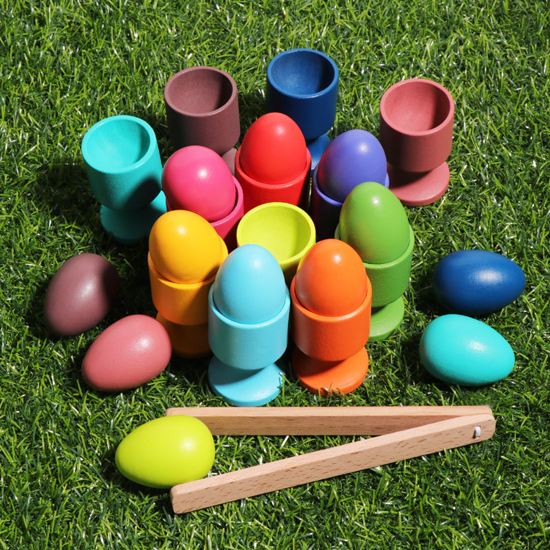 Montessori Wooden Eggs and Cups - Color Matching and Fine Motor Activity