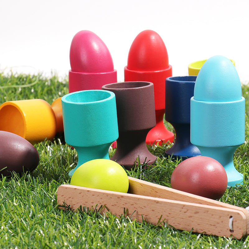 Montessori Wooden Eggs and Cups - Color Matching and Fine Motor Activity