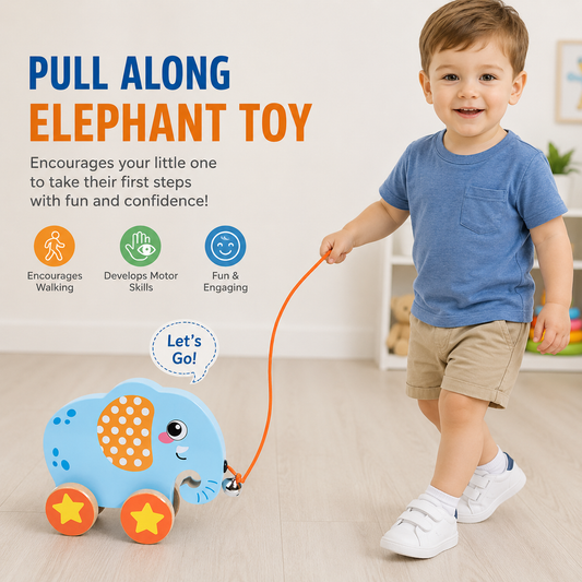 Wooden Pull-Along Cart Toy 8 designs
